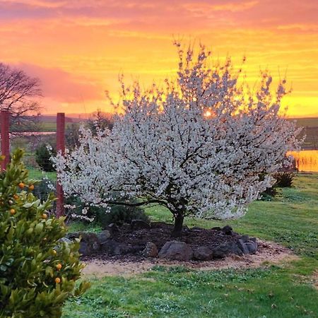 New Horizons Farm Stay Smeaton Εξωτερικό φωτογραφία